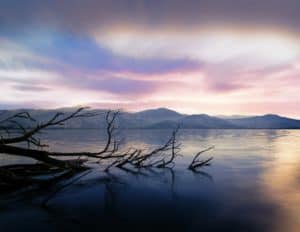 Loneliness