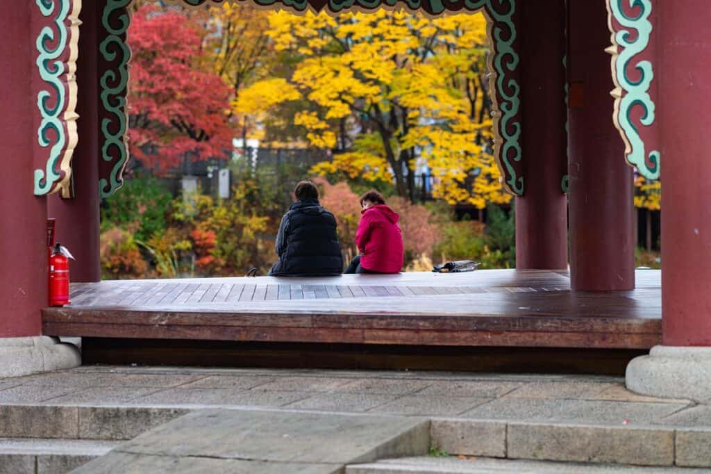 Two people sitting and talking together in a park surrounded by autumn trees